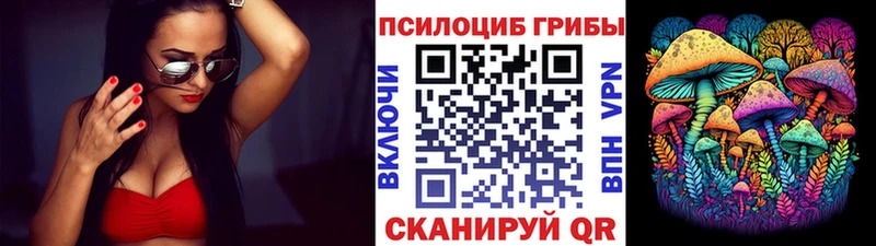 Купить закладки  Ясногорск  Галлюциногенные грибы мухоморы 